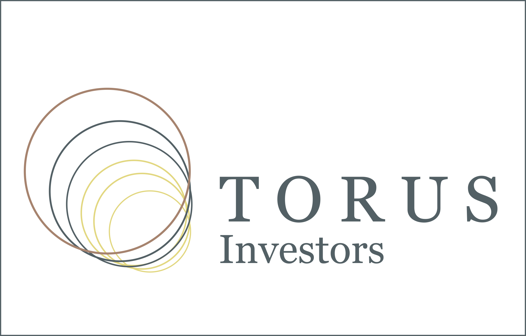 Torus Investors